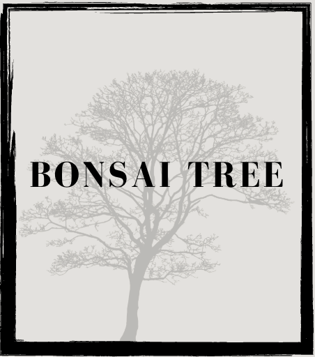 growdeepwithbonsai.com